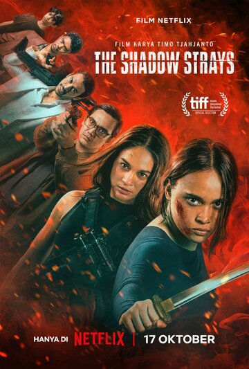 Блуждающая тень || The Shadow Strays (2024)