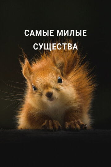 Самые милые существа || Nature’s Cutest (2021)