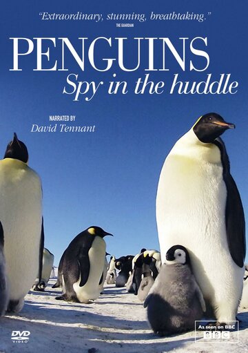 Пингвины: Шпион в толпе || Penguins: Spy in the Huddle (2013)