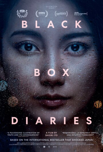 Дневники черного ящика || Black Box Diaries (2024)