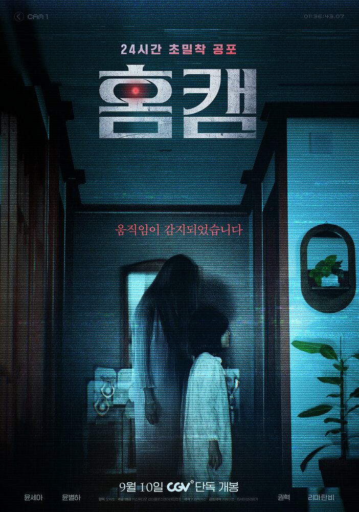 Домашняя камера || Homkaem (2025)