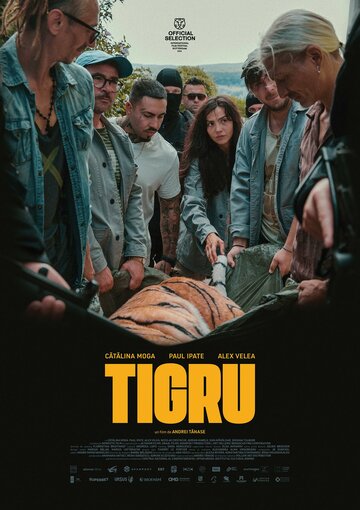 Tigru (2023)