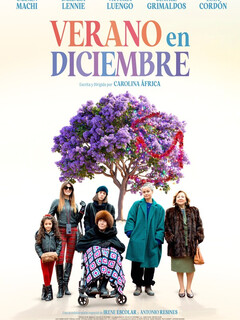 Лето в декабре || Verano en diciembre (2024)