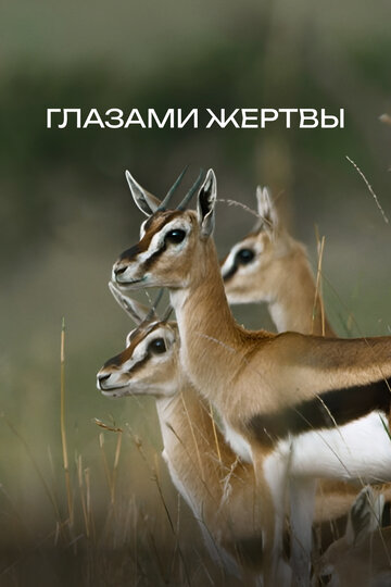 Глазами жертвы || Becoming Prey (2019)