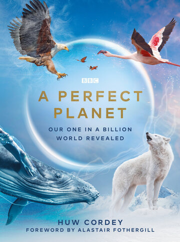 Ідеальна планета A Perfect Planet (2021)
