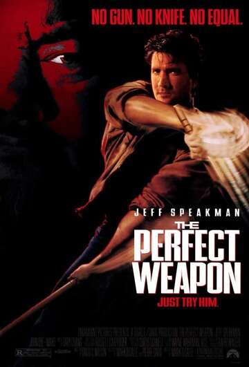 Совершенное оружие || The Perfect Weapon (1991)