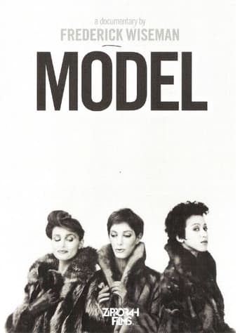 Модель (1980)